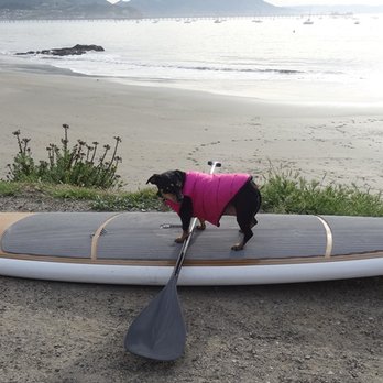 Laguna Veterinary Care - Trudy's Ride to Good Health... - Veterinarians Near Me - San Luis Obispo, California Laguna Veterinary Care - Trudy's Ride to Good Health... - Veterinarians Near Me - San Luis Obispo, California