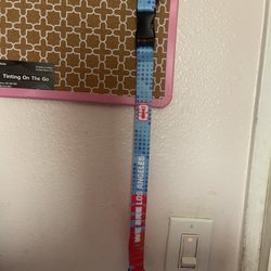 Walgreens - $2 landyard