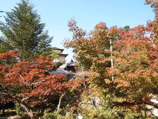 Momijidani Park by null