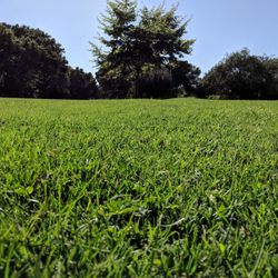 Hidden Oaks Golf Course