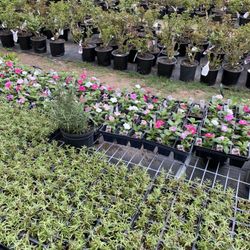G & G Garden Center