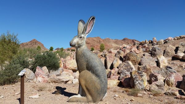 Bootleg Canyon by null