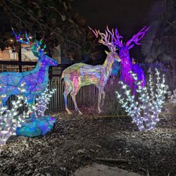 Chattanooga Zoo At Warner Park