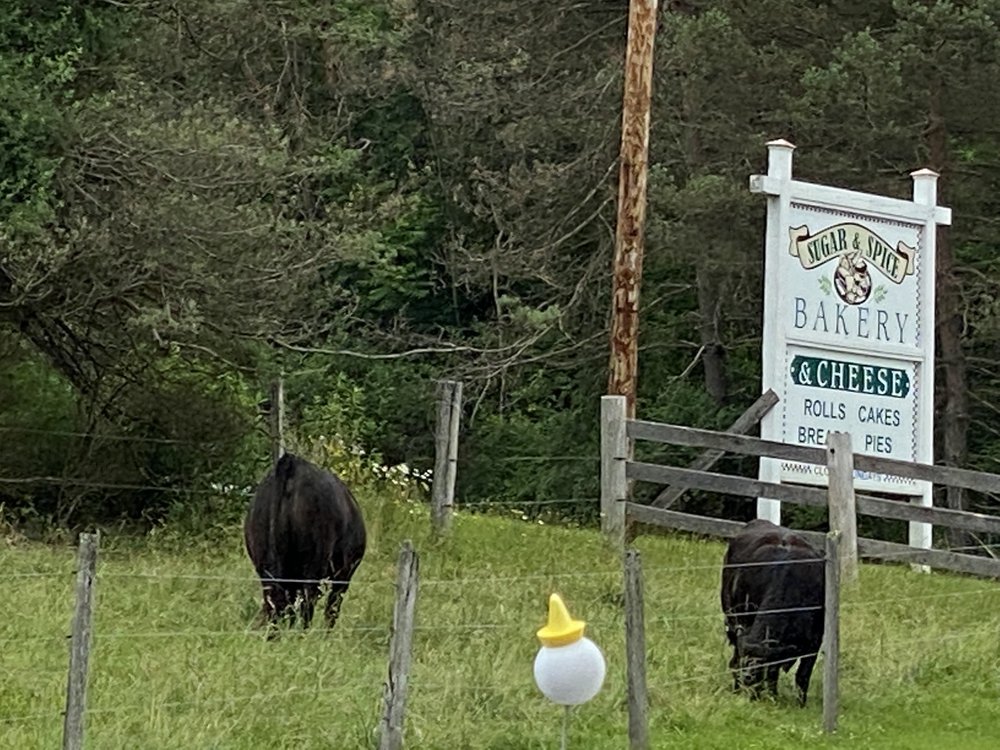 SUGAR & SPICE BAKERY AND CHEESE Updated June 2024 30 Photos 8672 Garrett Hwy, Oakland