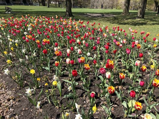 Riverdale Park East by null