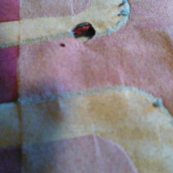 Red Roof Inn - More cigarette burns on a blanket in a non-smoking room. A "remodeled" room. - Hotels Near Me - San Dimas, California Red Roof Inn - More cigarette burns on a blanket in a non-smoking room. A "remodeled" room. - Hotels Near Me - San Dimas, California
