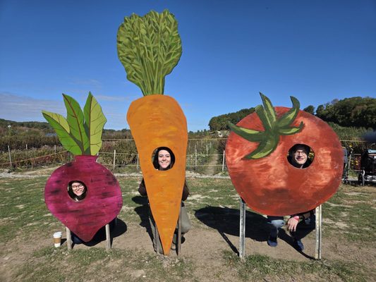 Cider Hill Farm by null