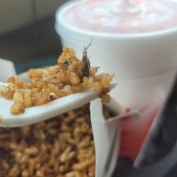 Egg Roll  Express