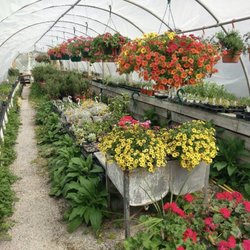 Shields Herb and Flower Farm