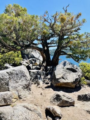 Emerald Bay State Park by null