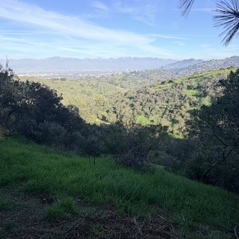 TreePeople - Seeing the Burbank Vally from Mulholland - Community Service/Non-Profit Near Me - Beverly Hills, California