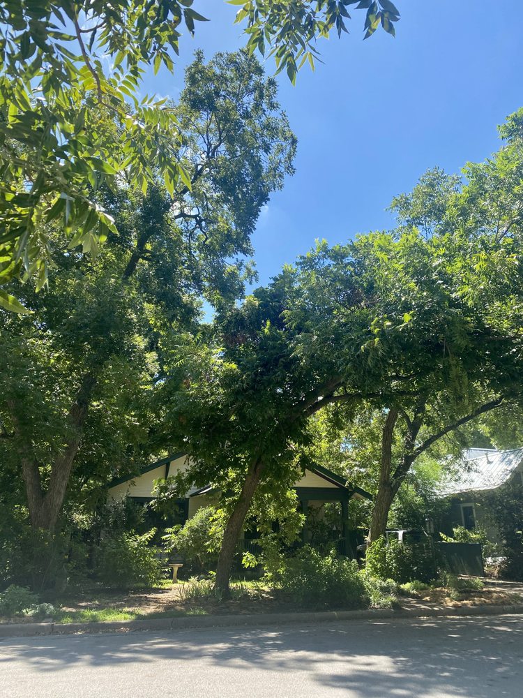 Treeweaver - tree service in Austin, TX