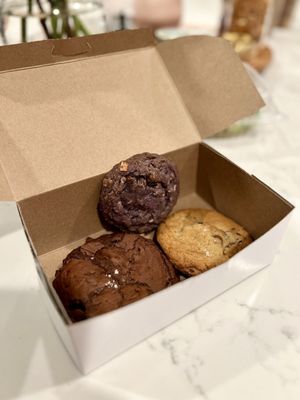 Sugar Blooms Bakery by null