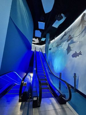 Mississippi Aquarium by null