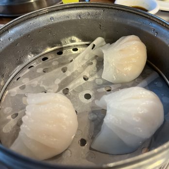 Hi Trendy Dumpling - Szechuan Near Me - Houston, Texas Hi Trendy Dumpling - Szechuan Near Me - Houston, Texas