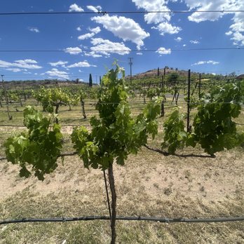 Alcantara Vineyards - Venues & Event Spaces Near Me - Cottonwood, Arizona Alcantara Vineyards - Venues & Event Spaces Near Me - Cottonwood, Arizona