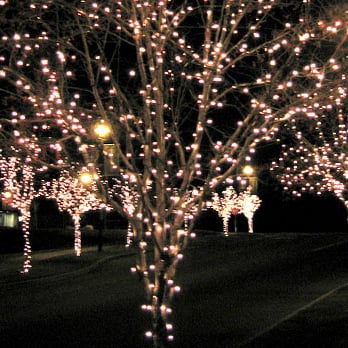A Light-Up - Lighting Fixtures & Equipment Near Me