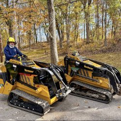 Bizee Bee Tree Service