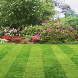 Mynors Landscaping