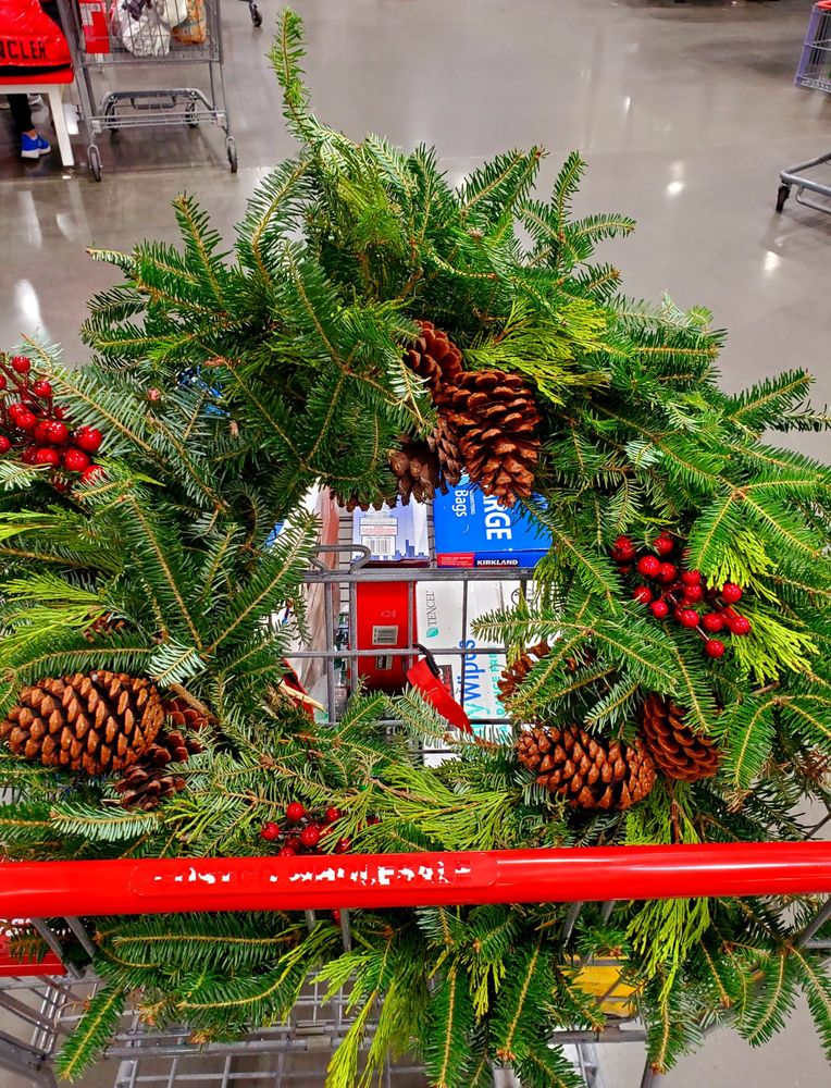 COSTCO WHOLESALE 18 Photos & 42 Reviews 1800 Old Country Rd