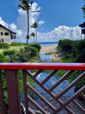 Hanalei Colony Resort by null