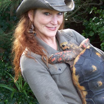 Lizard Lady Reptiles - lizard lady and Bob the Tortoise - Performing Arts Near Me Lizard Lady Reptiles - lizard lady and Bob the Tortoise - Performing Arts Near Me