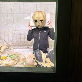 Ripley's Believe It or Not - Everyone loves alien parts - Museums Near Me - Amsterdam, New Hampshire