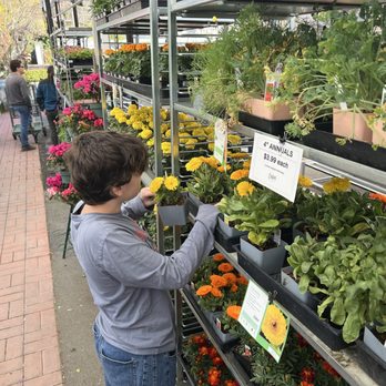 Orchard Nursery - Nurseries & Gardening Near Me - Lafayette, California