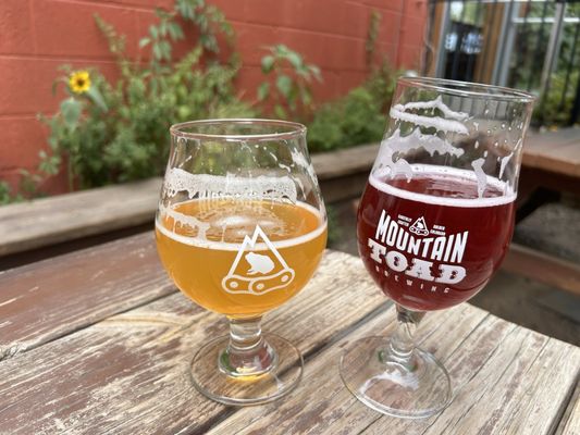 Mountain Toad Brewing by null