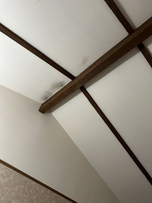 Der Ritterhof Inn by null