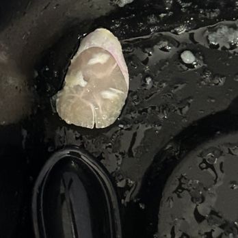 Elly's Brunch & Cafe - The fingernail I pulled out of my mouth because I bit into it while eating my omelette - Breakfast & Brunch Near Me - Phoenix, Arizona