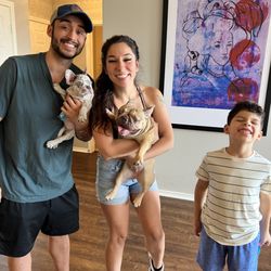 Costa’s French Bulldog Breeders