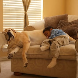 vacuum cleaner s bag