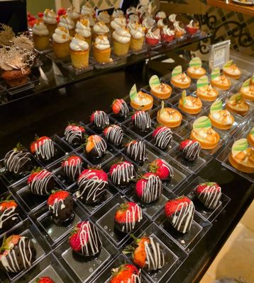 Biltmore Hotel Miami Coral Gables by null