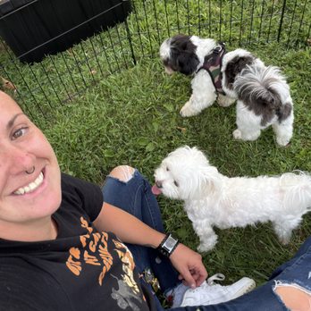 Gigi And Furiends - Pet Training Near Me - Dumont, New Jersey Gigi And Furiends - Pet Training Near Me - Dumont, New Jersey