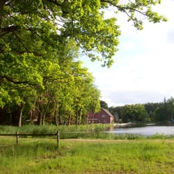 Von der Mühle zum Sonnenberg