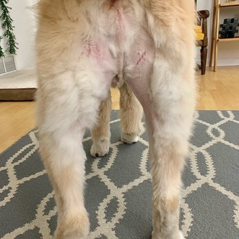 Groomingtails Pet Salon - Pet Groomers Near Me Groomingtails Pet Salon - Pet Groomers Near Me
