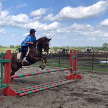 Pine Hollow Stables - Horseback Riding Near Me - Altoona, Iowa Pine Hollow Stables - Horseback Riding Near Me - Altoona, Iowa