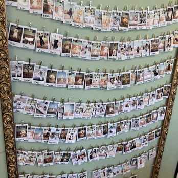 Le Pawsh - Pet Groomers Near Me - Fremont, California Le Pawsh - Pet Groomers Near Me - Fremont, California