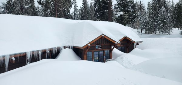 Kings Canyon National Park by null