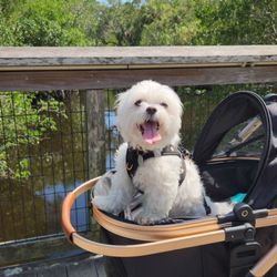 Gordon River Greenway Park