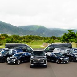 Maui Town Car
