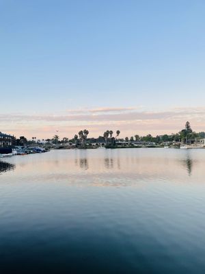 Amalfi Marina Bar (Dockside) by null