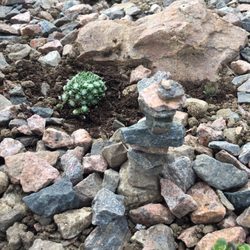 Creek Side Gardens