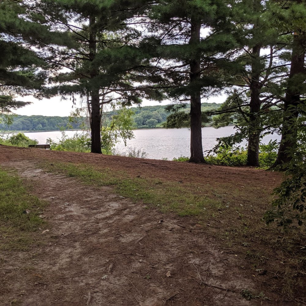 Rock Cut State Park - View of the lake from one of the campsites. - Parks Near Me - Loves Park, Illinois Rock Cut State Park - View of the lake from one of the campsites. - Parks Near Me - Loves Park, Illinois