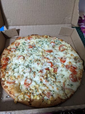 Dimond Slice Pizza by null