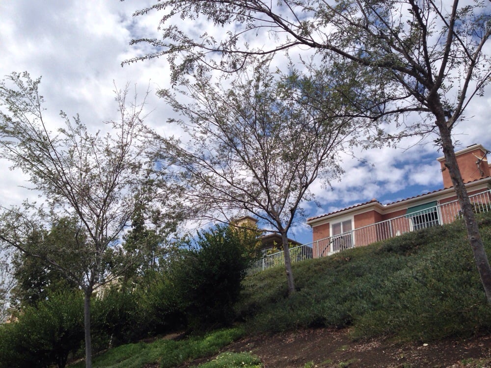 CANYON CREST CLUBHOUSE Updated August 2024 22300 Canyon Crest Dr