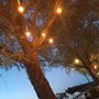 Photo of Bistro Bay