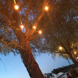 Bistro Bay