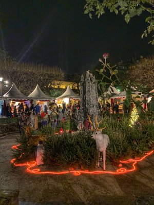 Marché de Noël de Notre-Dame by null